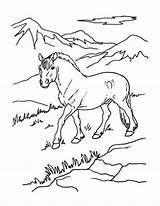 Coloring Pages Color Horse Print Pinto Printable Real Getcolorings Service Community Getdrawings Drawing Colorings Kid sketch template