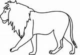 Lion Template Templates Coloring Animal sketch template