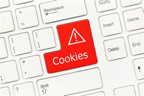 internet cookies   types
