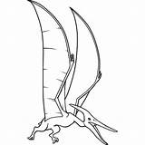 Pteranodon Coloring Pages Getcolorings Printable Screaming Getdrawings sketch template