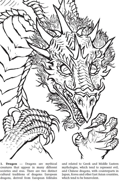 images  adult coloring pages dragons  pinterest
