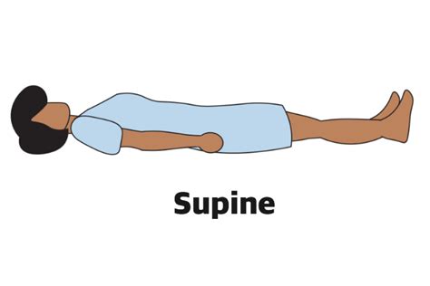 anatomical position definitions  illustrations