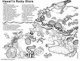 Coloring Pages Rocky Shore Hawaii Sea Under Kids Printable sketch template