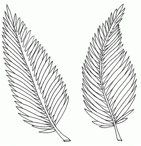 palm branch coloring page   palm branch coloring page