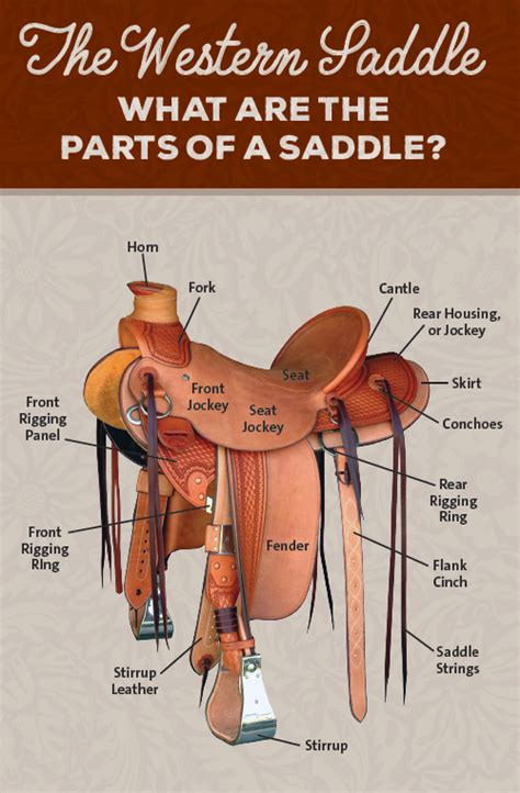 parts   western saddle   variations center   west