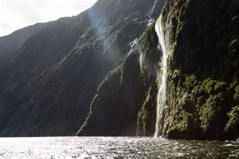 5 Things To Know About Milford Sound How To See It And Is