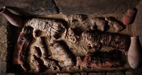 New Discovered 6 000 Year Old Egyptian Tomb Contains