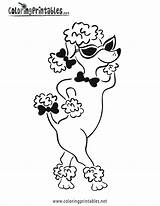 Poodle Pages Coloring Colouring Printable Dog Pink Color Standard Print Animal Silhouette Drawing Template Camaro Crafts Poodles Hop Sock Para sketch template