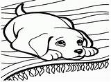 Coloring Dog Pages Easy Dogs Girls Print sketch template