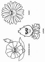 Flower Coloring Friends Daisy Girl Scout Petal Pages Scouts Makingfriends Garden Print Lupine Morning Petals Glory Puppets Sheets Daisies Clipart sketch template