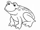 Bullfrog Coloring Pages Smiling 09kb 450px Getdrawings sketch template