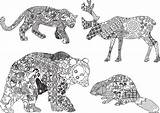 Coloriage Adulte Animaux Sauvages Imprimer Difficile Djur Dessins Dure Reeks Tekeningen Etnisch Dieren Sauvage Mandalas Ethnischen Etnisk Uppsättning Teckningar Tillhör sketch template