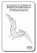 Coloring Pteranodon Pages Comments sketch template