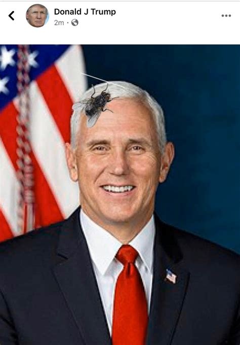 Photo What The Fly On Mike Pence S Head Looked Like To Donald Trump