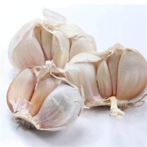 wholesale pure white garlic  normal white garlic  high qualitychina price supplier food