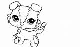 Lps sketch template