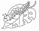 Caterpillar Coloring Hungry Very Pages Printables Getcolorings sketch template