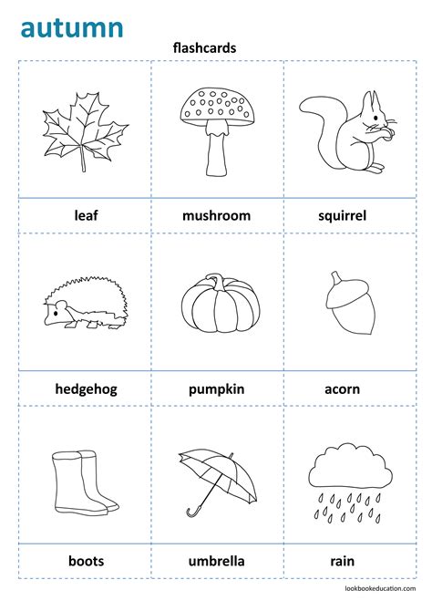 flashcards fall autumn worksheet preschool kindergarten