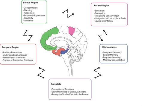 cureus neuroplasticity improves bipolar disorder  review