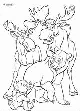 Bear Brother Coloring Pages Moose Rutt Tuke Book Bears Disney Deer Clipart Color Printable Hellokids Da Ours Des Print Drawing sketch template