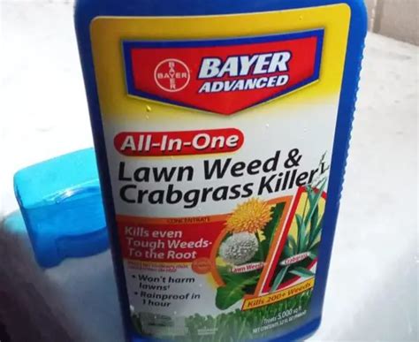 Bioadvanced All In One Lawn Weed And Crabgrass Killer Review