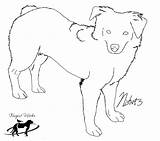 Australian Shepherd Mini Coloring Pages Dog Template Sketch Deviantart sketch template
