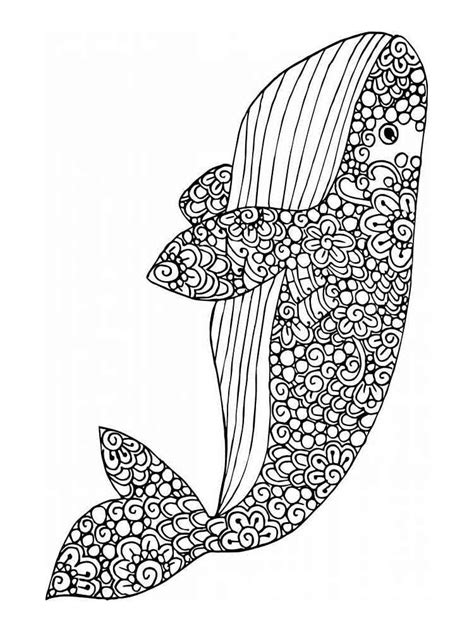 whale coloring pages  adults printable   whale