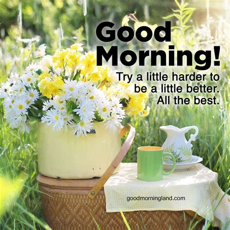 downloaded  good morning wishes  images good morning