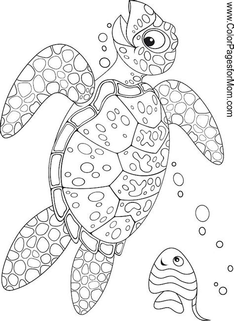 ocean coloring pages  adults  getcoloringscom  printable