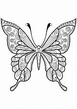 Coloring Butterflies Kids Simple Pages Color Coloriage Animals sketch template