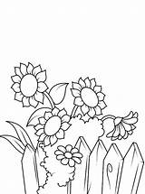 Coloring Kleurplaten Sunflowers Kleurplaat Girasoli Kostenlos Sonnenblume Vicino Recinto Colorare Stemmen Ausdrucken Malvorlagen sketch template