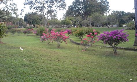 Royal Botanical Gardens Port Of Spain Trinidad And