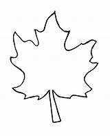 Leaf Template Maple Fall Outline Clipart Kids Outlines Pattern Designs sketch template