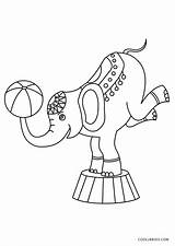 Circus Coloring Pages Kids Elephant sketch template
