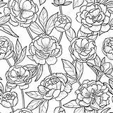 Outline Peony Flowers Flower Leaves Coloring Floral Pattern Vector Background Wallpaper Seamless Romantic Choose Board sketch template
