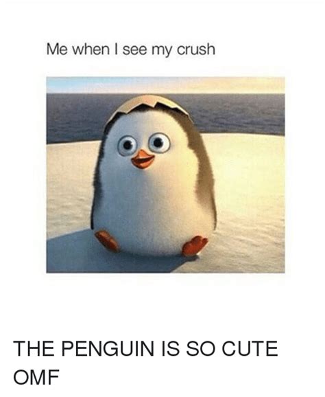 Me When I See My Crush The Penguin Is So Cute Omf Crush
