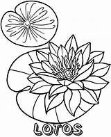 Kolorowanka Kwiat Lotosu Kolorowankę Wydrukuj Druku Kwiatem Kolorowanki sketch template