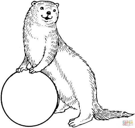 otter coloring page google search animal coloring pages otters