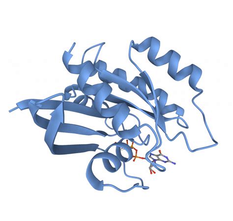 protein tertiary structure radixin protein structure gene png clipart