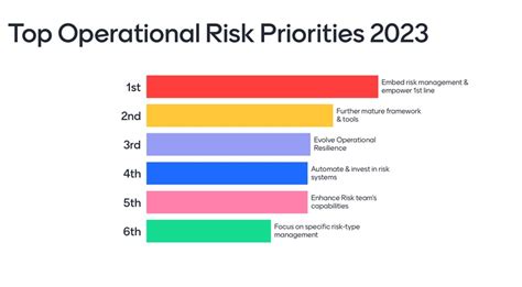 top operational risk priorities  iia