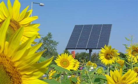 city  embrace solar powered gardens true activist