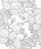 Coloring Pages Nature Adult Book Adults Color Sheets Printable Print sketch template