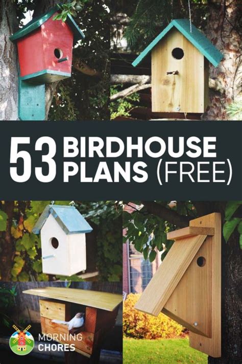 diy birdhouse plans   attract    garden