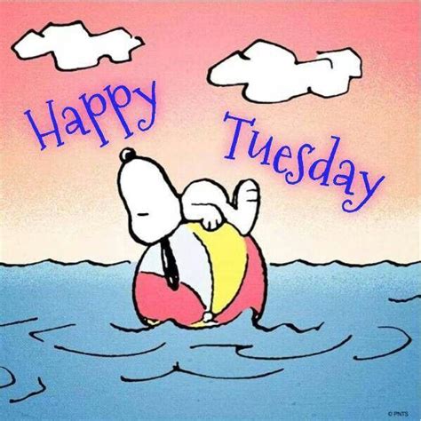 snoopy tuesday quotes quotesgram