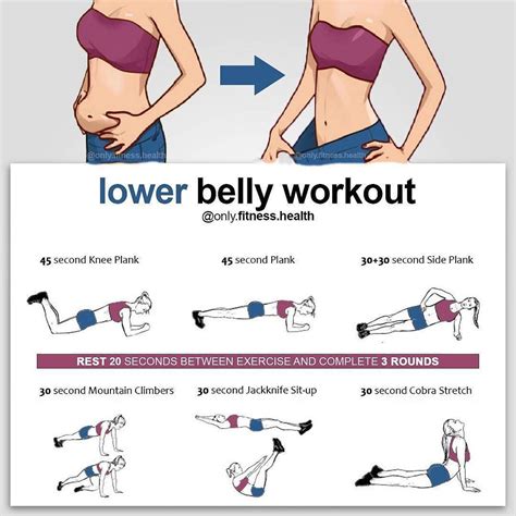 fitness guide on instagram “lower belly workout the perfect exercises