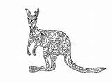 Kangaroo Canguro Zentangle Coloritura Mandala sketch template