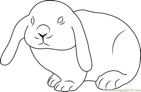 cute rabbit coloring page  kids  rabbit printable coloring