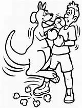 Coloring Boxing Kangaroo Pages Sports Fighting Guy Cliparts Printable Clipart Gloves Print Kids Categories Library Animals Coloringonly sketch template