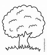 Tree Coloring Pages Kids Clipart Simple Apple Roots Family Color Printable Birthday Children Template Clipartbest Spring Club Nature Leafless Print sketch template