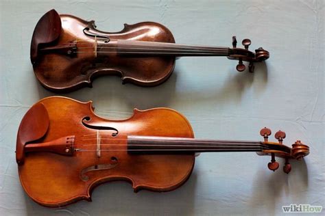 differences  violas  violins